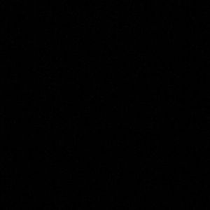 Meet your Posher, Bella